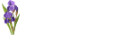 Iris Clinic Logo